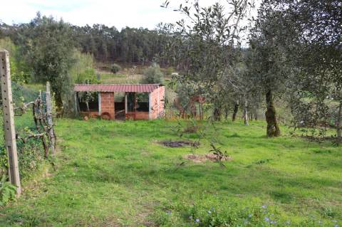 Moradia T2 para restaurar em lote de terreno com 4.049 m2 em Fervença, Celorico de Basto