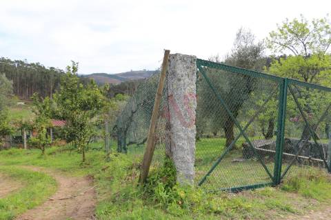 Moradia T2 para restaurar em lote de terreno com 4.049 m2 em Fervença, Celorico de Basto
