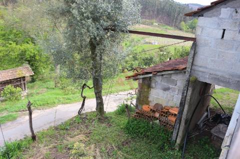 Moradia T2 para restaurar em lote de terreno com 4.049 m2 em Fervença, Celorico de Basto