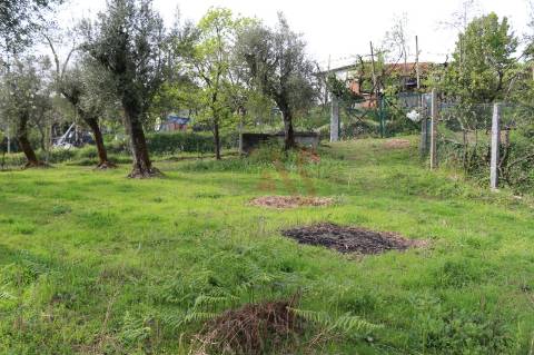 Moradia T2 para restaurar em lote de terreno com 4.049 m2 em Fervença, Celorico de Basto
