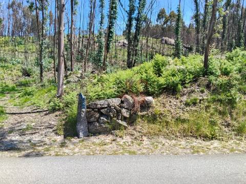 Terreno Rústico com 15.064,30 m² em Seidões, Fafe