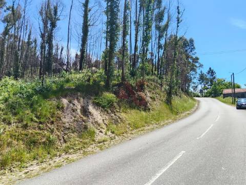 Terreno Rústico com 15.064,30 m² em Seidões, Fafe