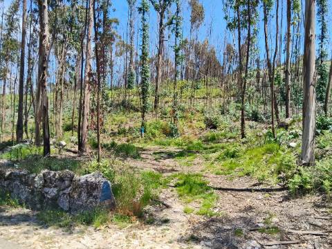 Terreno Rústico com 19.105,96 m² em Seidões, Fafe