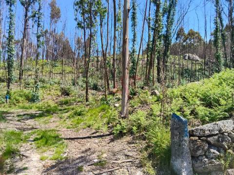 Terreno Rústico com 19.105,96 m² em Seidões, Fafe