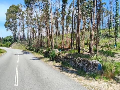 Terreno Rústico com 19.105,96 m² em Seidões, Fafe