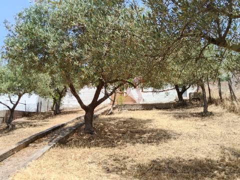 Moradia T1 Térrea para Restaurar em Santo Aleixo da Restauração – Moura