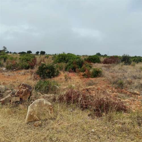 Terreno Rústico com 10.386 m² &#124; Vale da Ursa – Guia, Albufeira