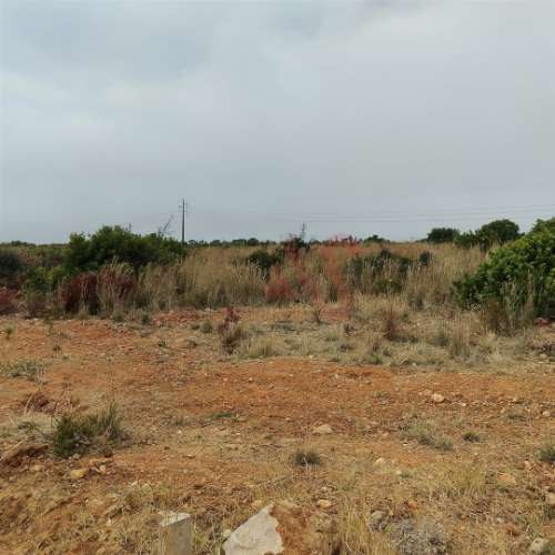 Terreno Rústico com 10.386 m² &#124; Vale da Ursa – Guia, Albufeira