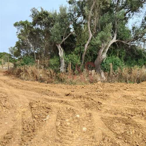 Terreno Rústico com 15.130 m² na Guia, Albufeira – Excelente Oportunidade de Investimento