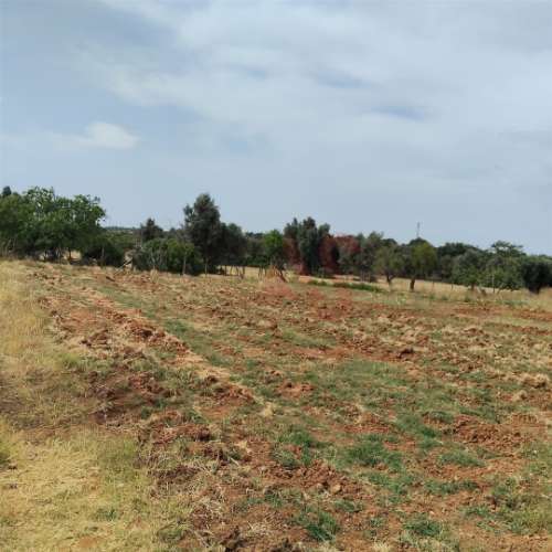 Terreno Rústico com 15.130 m² na Guia, Albufeira – Excelente Oportunidade de Investimento