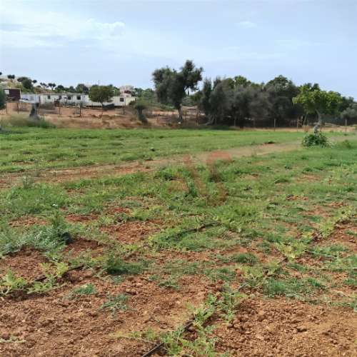 Terreno Rústico com 15.130 m² na Guia, Albufeira – Excelente Oportunidade de Investimento