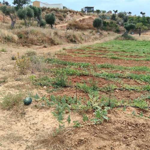 Terreno Rústico com 15.130 m² na Guia, Albufeira – Excelente Oportunidade de Investimento