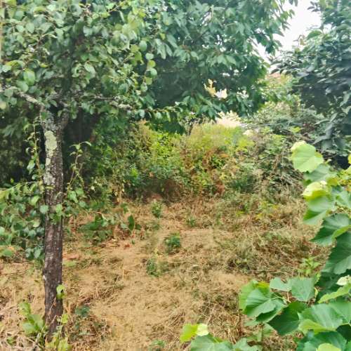 Moradia T3 para remodelar com terreno de 1.514 m² em Silvares, Guimarães