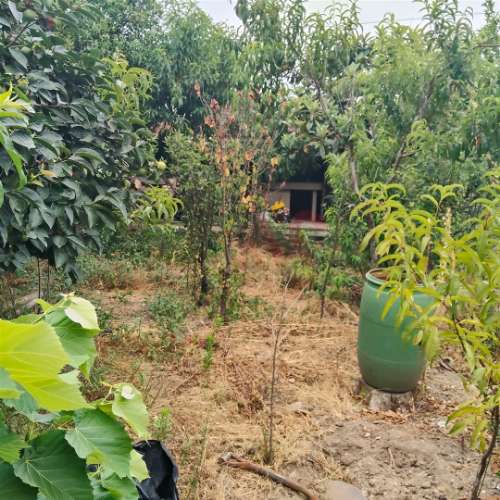 Moradia T3 para remodelar com terreno de 1.514 m² em Silvares, Guimarães