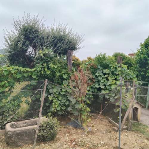 Moradia T3 para remodelar com terreno de 1.514 m² em Silvares, Guimarães