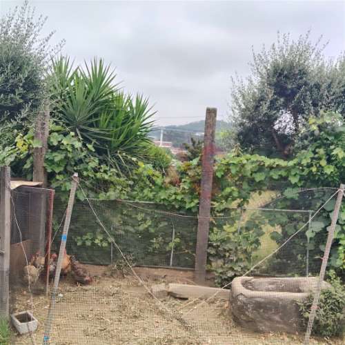 Moradia T3 para remodelar com terreno de 1.514 m² em Silvares, Guimarães