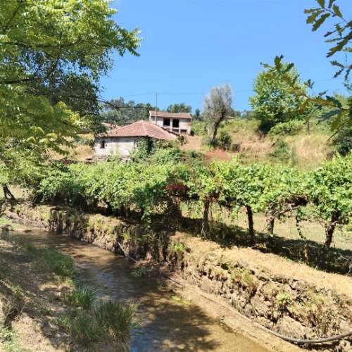 Moradias para restaurar com terreno de 41.214 m² em Borba de Godim, Felgueiras