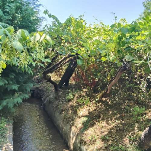 Moradias para restaurar com terreno de 41.214 m² em Borba de Godim, Felgueiras