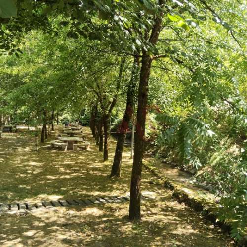 Moradias para restaurar com terreno de 41.214 m² em Borba de Godim, Felgueiras