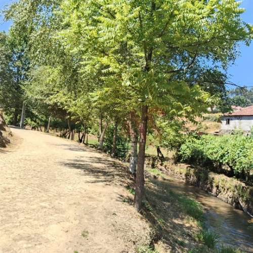 Moradias para restaurar com terreno de 41.214 m² em Borba de Godim, Felgueiras