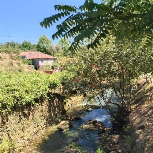 Moradias para restaurar com terreno de 41.214 m² em Borba de Godim, Felgueiras