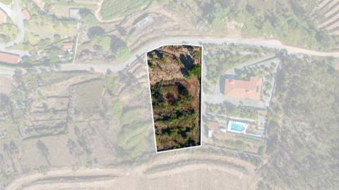 Terreno Rústico com 3.250 m² com Projeto Aprovado em Idães, Felgueiras