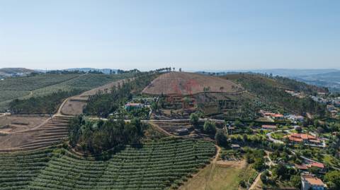 Terreno Rústico com 3.250 m² com Projeto Aprovado em Idães, Felgueiras