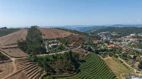 Terreno Rústico com 3.250 m² com Projeto Aprovado em Idães, Felgueiras