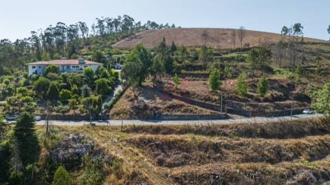 Terreno Rústico com 3.250 m² com Projeto Aprovado em Idães, Felgueiras