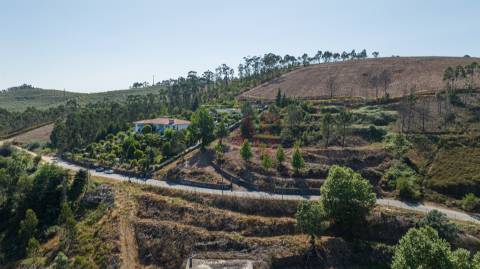 Terreno Rústico com 3.250 m² com Projeto Aprovado em Idães, Felgueiras