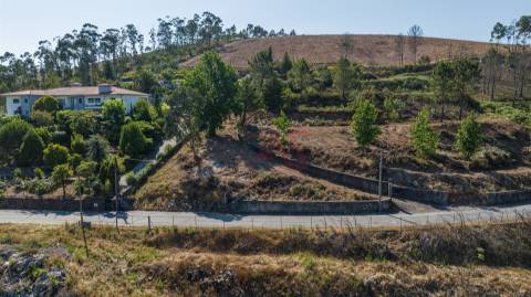 Terreno Rústico com 3.250 m² com Projeto Aprovado em Idães, Felgueiras