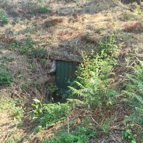 Moradia T1 para Reconstrução com Terreno de 22.000 m² – Constance, Marco de Canaveses