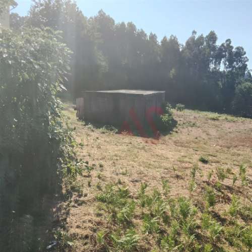 Moradia T1 para Reconstrução com Terreno de 22.000 m² – Constance, Marco de Canaveses