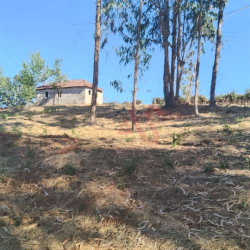 Moradia T1 para Reconstrução com Terreno de 22.000 m² – Constance, Marco de Canaveses