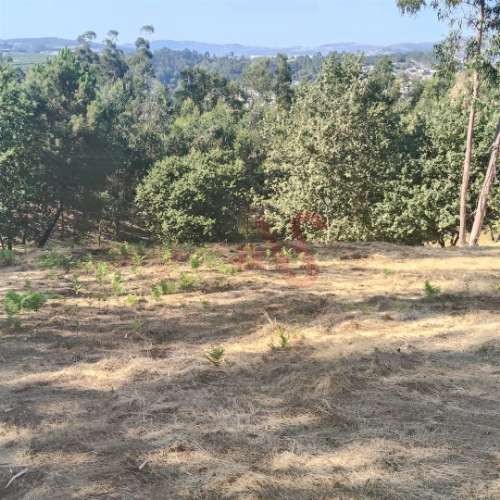 Moradia T1 para Reconstrução com Terreno de 22.000 m² – Constance, Marco de Canaveses