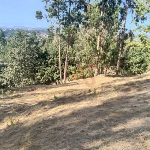 Moradia T1 para Reconstrução com Terreno de 22.000 m² – Constance, Marco de Canaveses