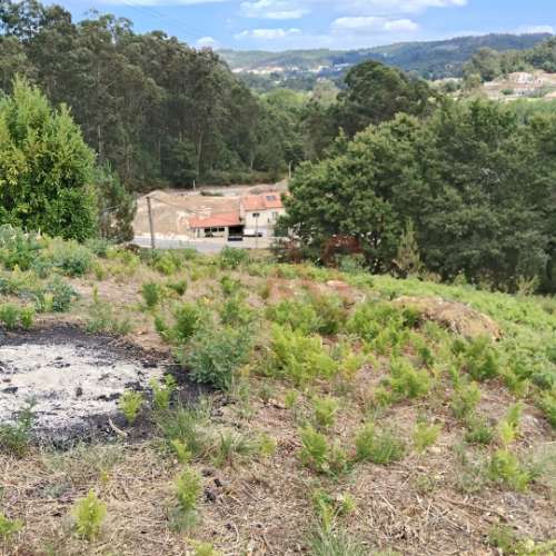 Terreno Rústico Urbanizável com 3.834 m² em Silvares (S. Martinho), Fafe