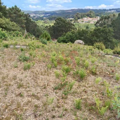 Terreno Rústico Urbanizável com 3.834 m² em Silvares (S. Martinho), Fafe
