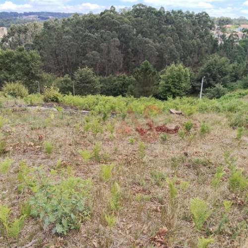 Terreno Rústico Urbanizável com 3.834 m² em Silvares (S. Martinho), Fafe