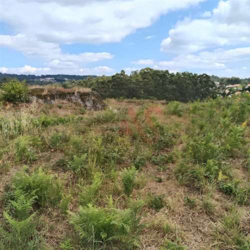 Terreno Rústico Urbanizável com 3.834 m² em Silvares (S. Martinho), Fafe