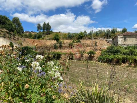 Quintinha com 26.155 m²  em Silvares Lousada