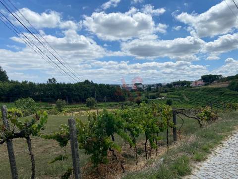 Quintinha com 26.155 m²  em Silvares Lousada