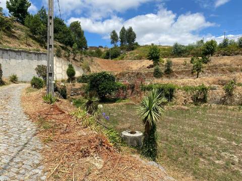 Quintinha com 26.155 m²  em Silvares Lousada