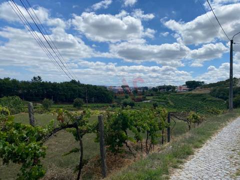 Quintinha com 26.155 m²  em Silvares Lousada