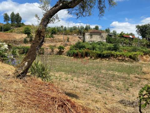 Quintinha com 26.155 m²  em Silvares Lousada