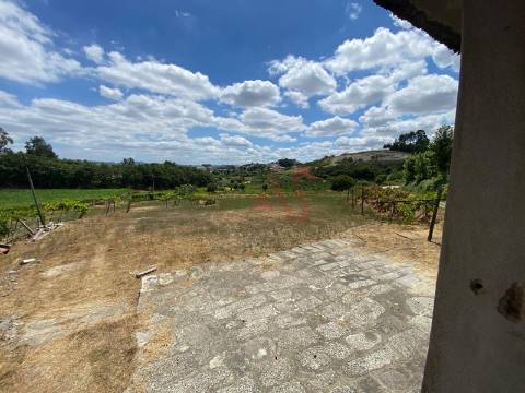 Quintinha com 26.155 m²  em Silvares Lousada