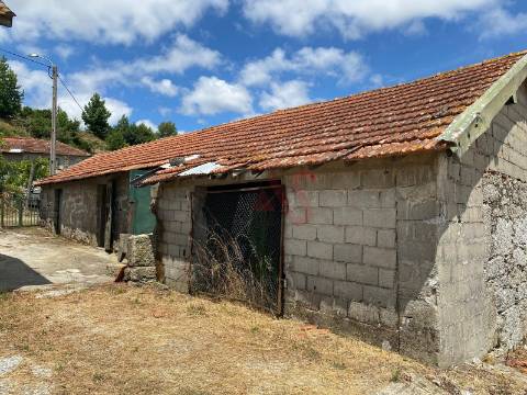 Quintinha com 26.155 m²  em Silvares Lousada