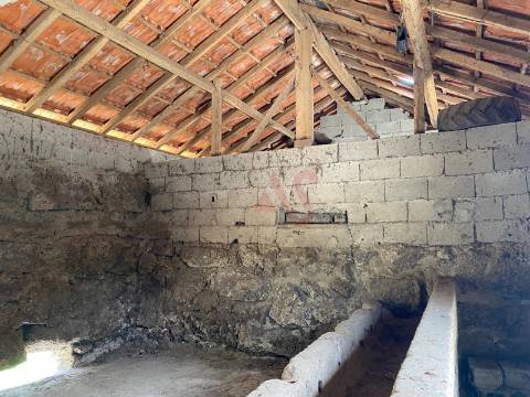 Quintinha com 26.155 m²  em Silvares Lousada