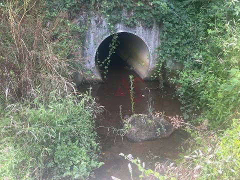 Quintinha com 26.155 m²  em Silvares Lousada