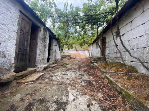 Quinta com 28.721,36 m² em Silvares, Lousada